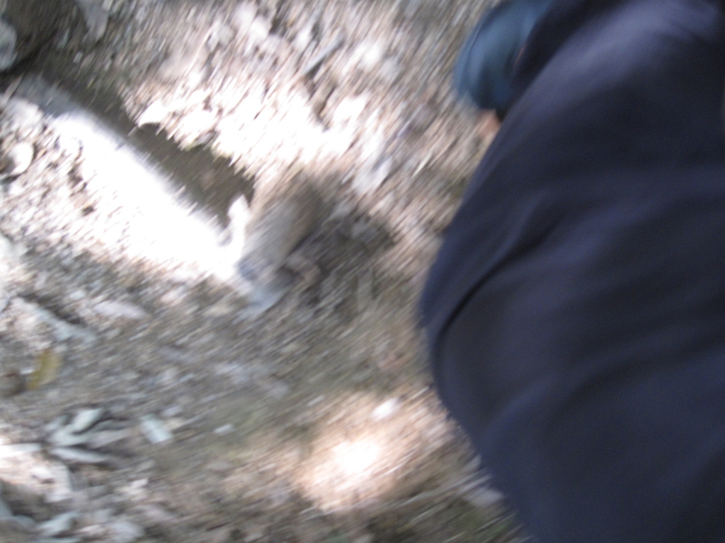 襲撃された瞬間