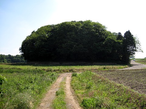 菅生城・城山