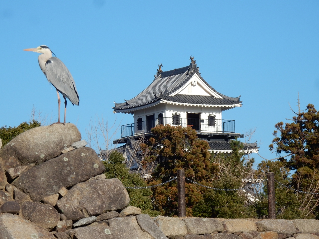 中津城登城口